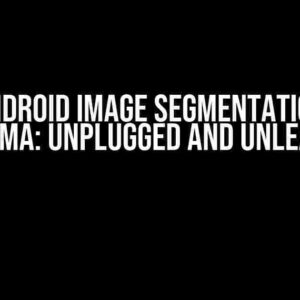 The Android Image Segmentation App Dilemma: Unplugged and Unleashed